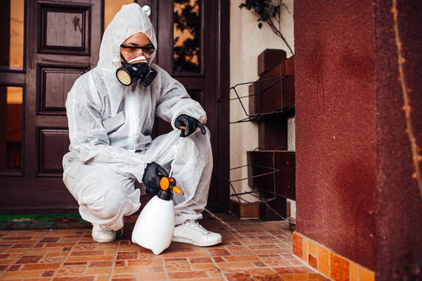 Reliable Cockroach Control contractor in South Daytona, FL by Nex Pest Control